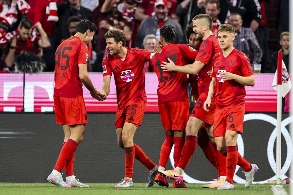 迷的关注 迷的关注